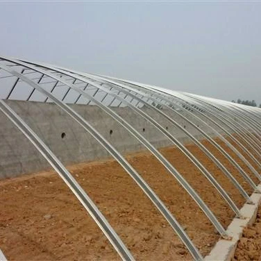 Commercial Sunlight Greenhouse for Sale