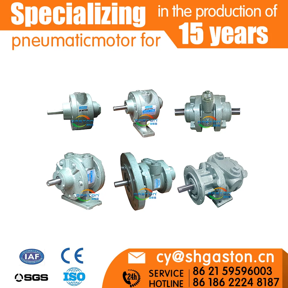 China Cheapest Flange Mounting Compressed Cast Iron Rotary Air Motor Gast Equivalent Motor Model vane air motor