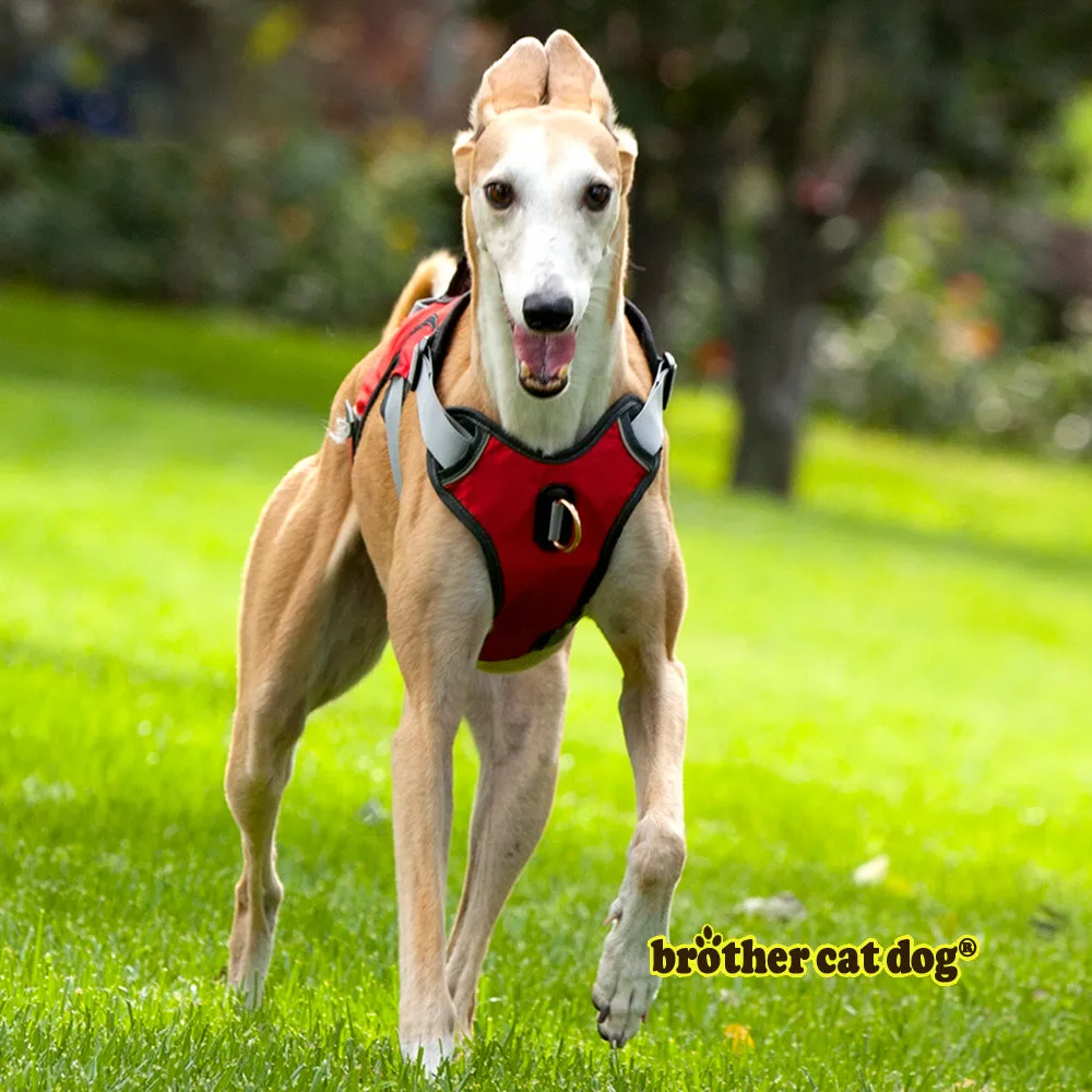 Service dog harness  Dog safety harness Pet products 2023  Dog training equipment