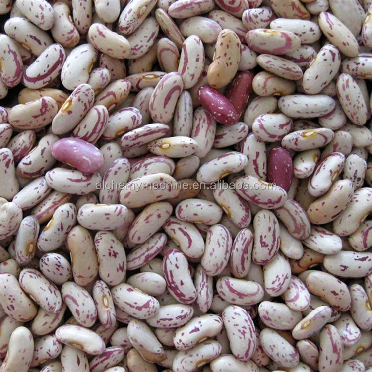 Red Kidney Beans and Red Beans with Wholesale Price
