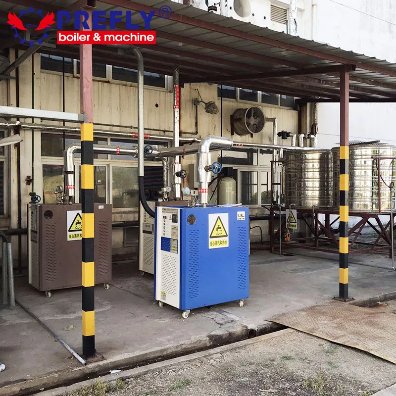 small steam boiler for factory