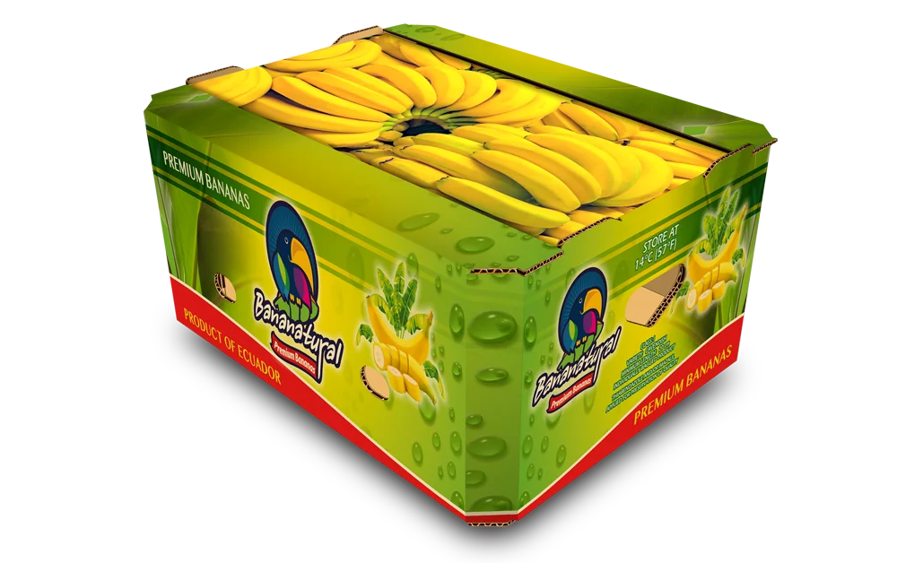 Biodegradable Food Industrial Used Cardboard Banana Packaging Box Sizes