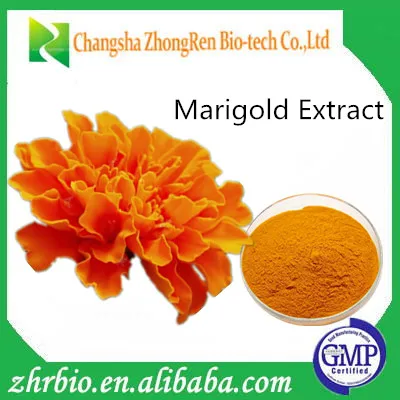 Manufacturer sales natural marigold flower extract lutein powder