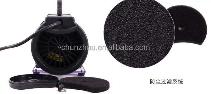 Chunzhou High Velocity Dog Blaster Pet Dryer/BS-2400