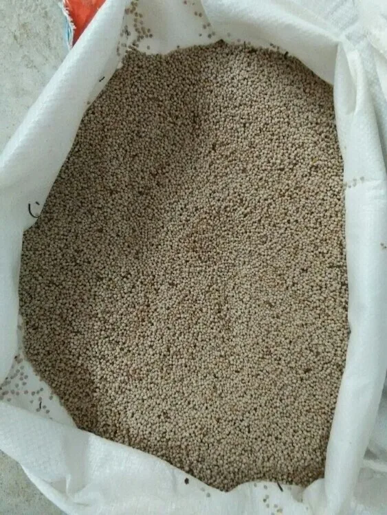 
Perilla seed bulk bird seed 