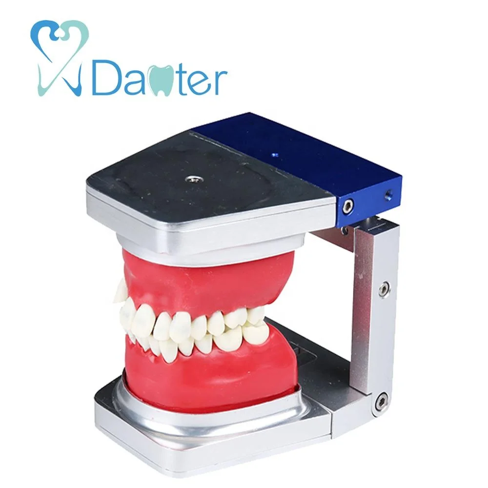 high quality typo dont practice model with five types of wax form and replacement teeth