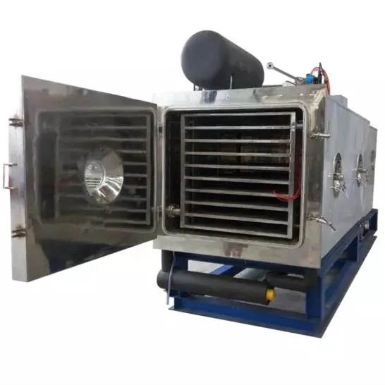 Stainless steel business lyophilizer tomato fruits and vegetables cold air drying frezze machine price