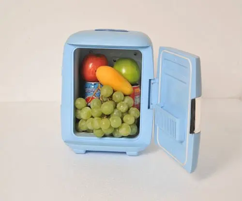 6L hot sell popular mini fridge