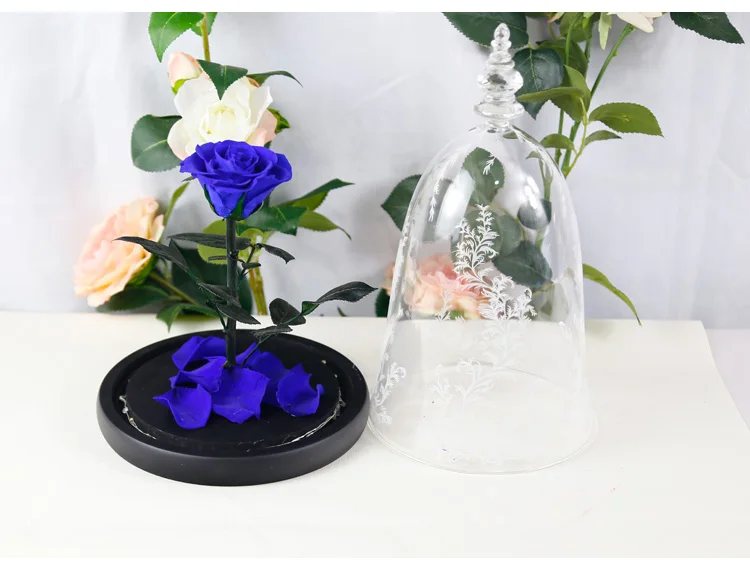
2018 new style best gift with led light beauty and the beast preserved flower eternal rose in glass dome 