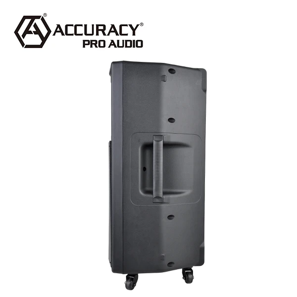 Accuracy Pro Audio CMF15AXQ 15' 180W Powered Speaker Professional Active Stage Audio Speaker