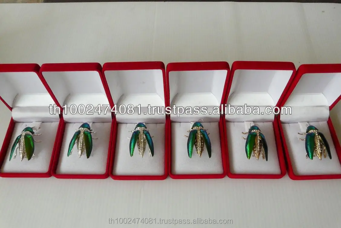 
beetle wings 2019 Hot sale beetle brooches 
