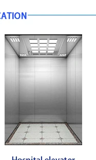 
villa elevator lift 320kg 400kg 2~4 person 