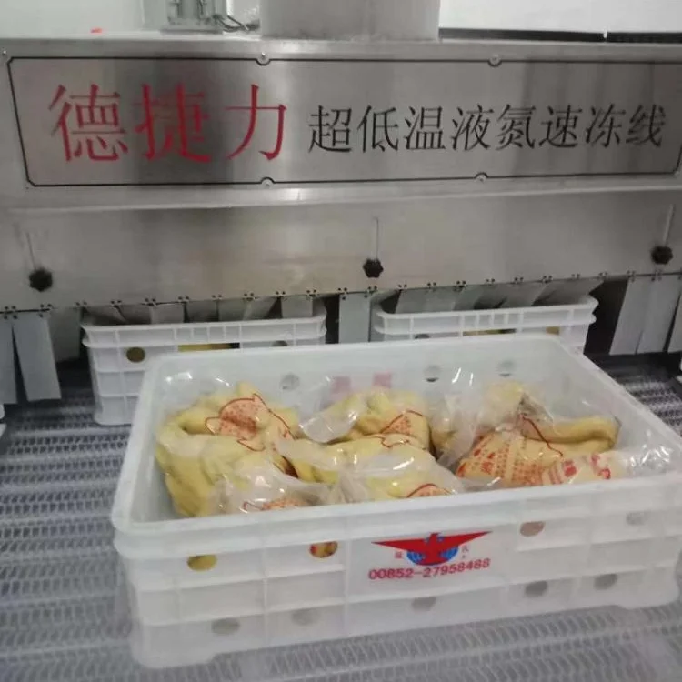 DJL Conveyor freezing tunnel machine Tunnel freezer fast flash tunnel freezer freezing chicken and poultry machine
