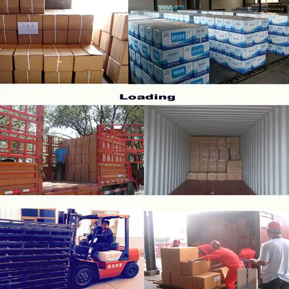 
swine, hoggery, hog, piglet, sow, growing pigs,fattening pigs used lactobacillus acidophilus food supplements 