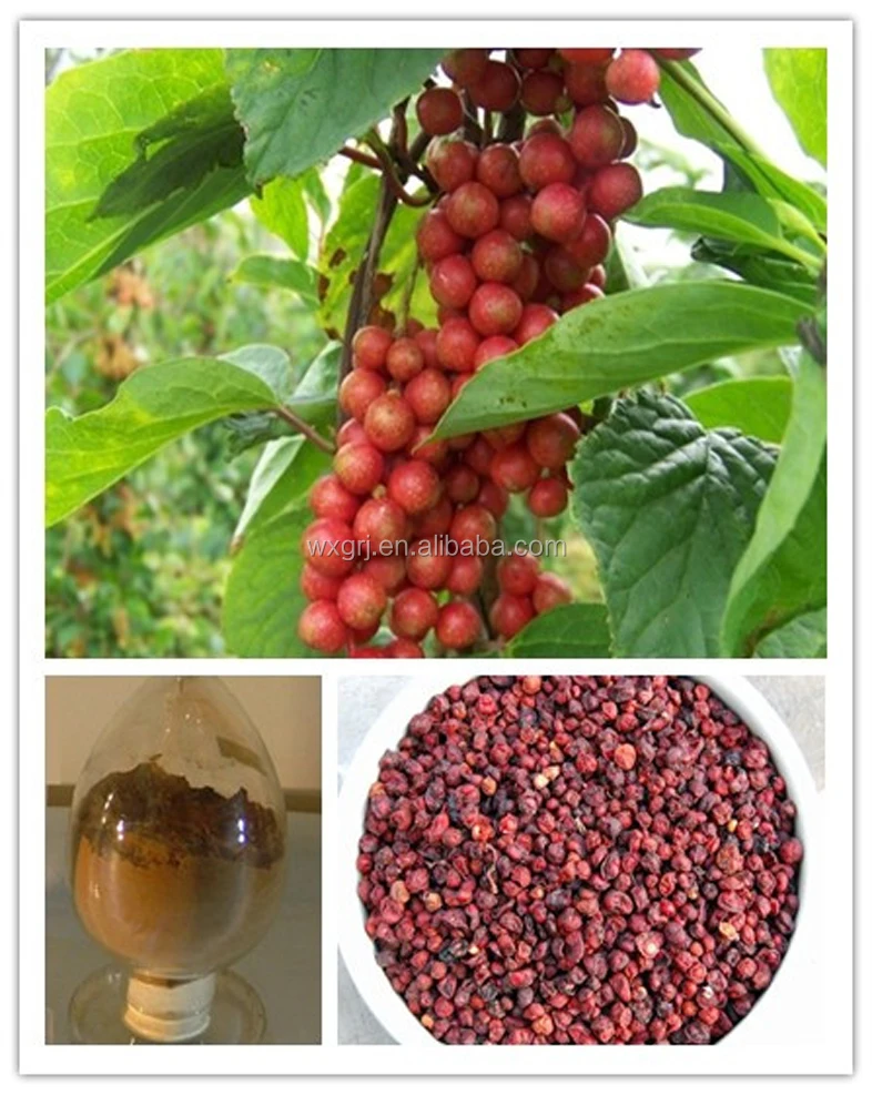 
Natural Organic Chinese Magnoliavin/Schisandra Berries P.E Ellagic Acid/Schisandrin OEM Service 