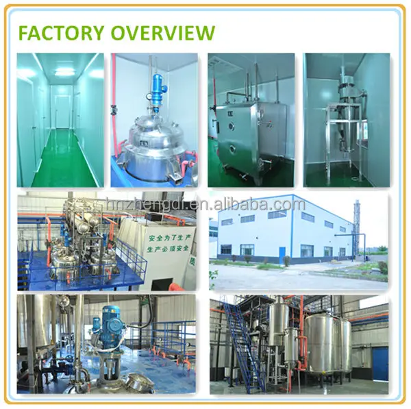 Plant extract 100% pure green tea leaf extract powder