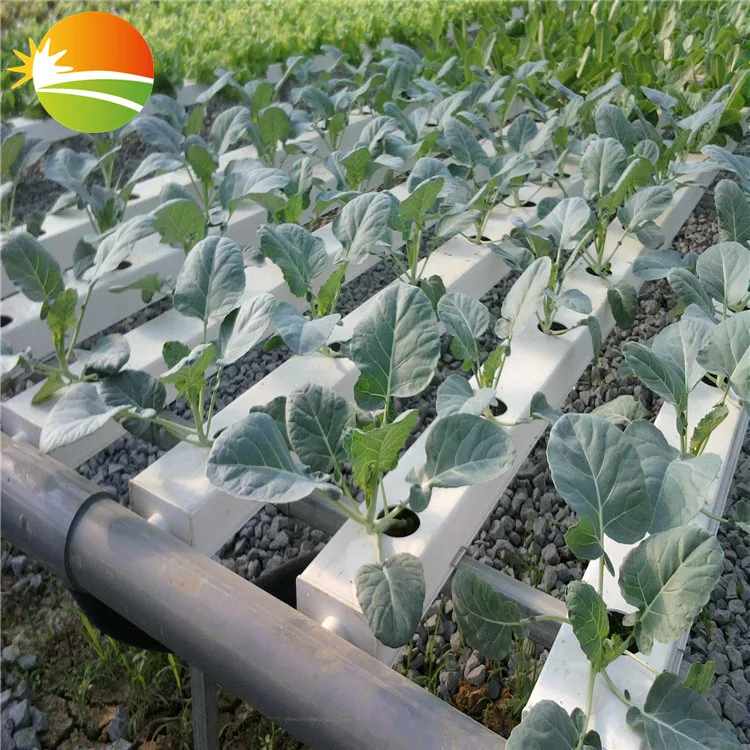 hydroponic greenhouse China Gold Supplier