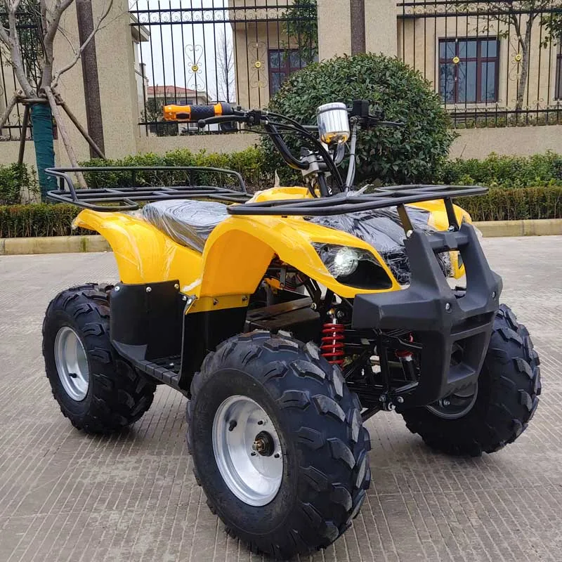 High quality 500/800/1000W electric mini kids ATV quad bike with CE