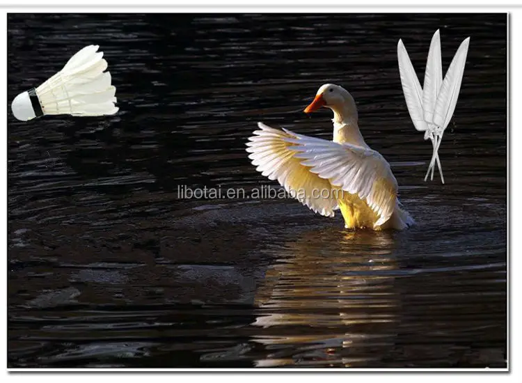A level top quality super duck feather shuttlecock badminton outdoor brand