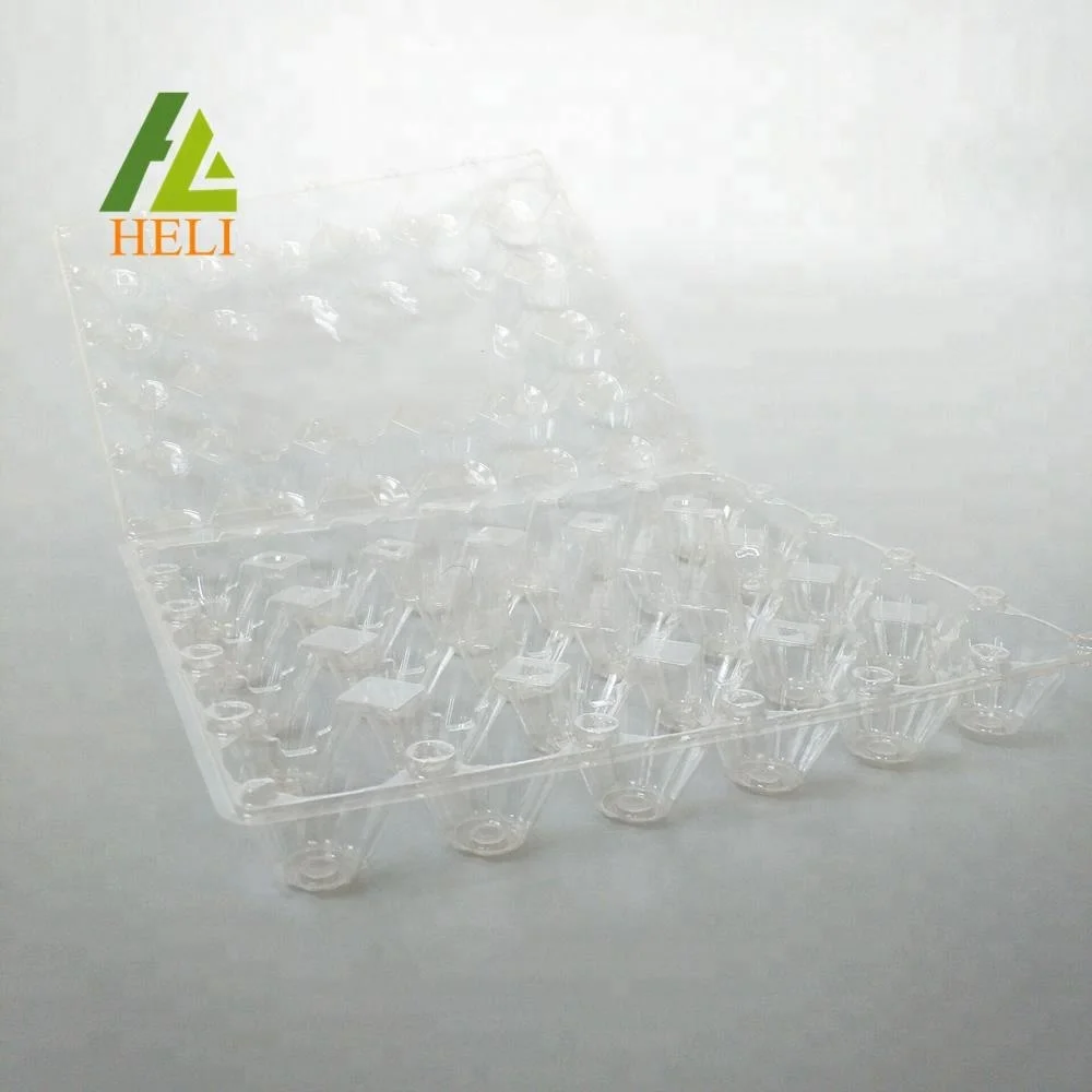 Plastic 30 Egg Tray Carton