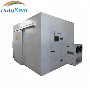 Quick Blast Freezer Cold Storage for Frozen food
