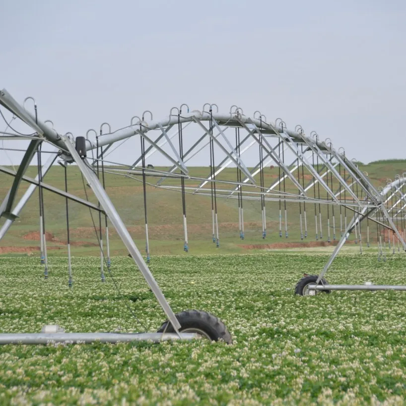 Agricultural Irrigation Machine Lateral Move Irrigation System