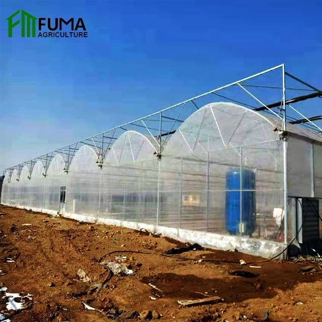 FM полная пластиковая пленка, тепличная структура для сельского хозяйства