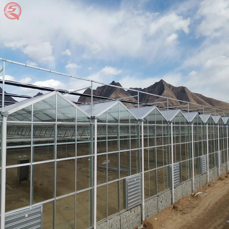 Многопролетная стеклянная теплица оцинкованная стальная рама для продажи