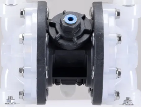 Small Sludge Suction AODD Pump