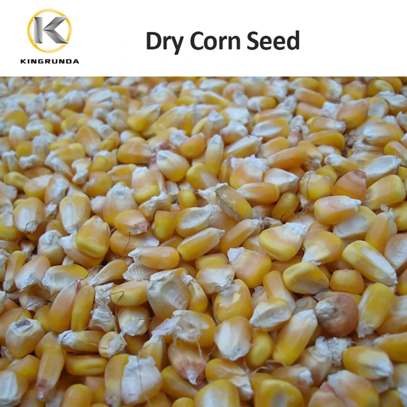 Small Corn Flour And Grits Machine/ Corn Peeling And Grinding Machine Prices