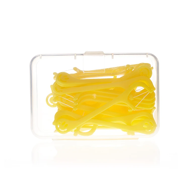 Eco-Friendly Cleaning Wholesale dental floss toothpick in case