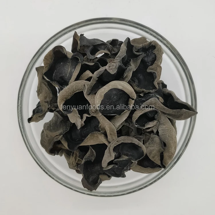 
high quality black fungus 