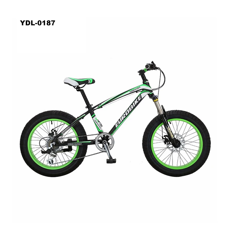 Customized Design 20 Inches Mountain Bike Aluminium Alloy Fat Tire Bike Double Disc Brake Snow Bicycle