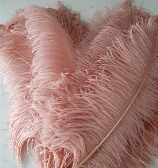 Wholesale Factory Price 24-26in/60-65cm Baby Pink Ostrich Plume Dyed Pattern Feathers for Carnival Costumes