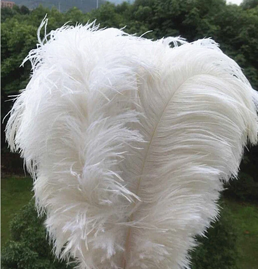 
Carnival Wedding Decoration Cheap White Ostrich Feather 