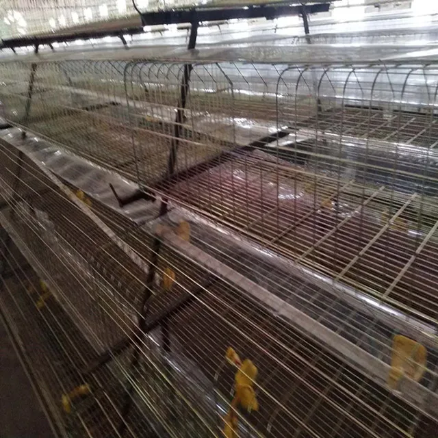 
 Сборные соска клетки для Птицефабрика  