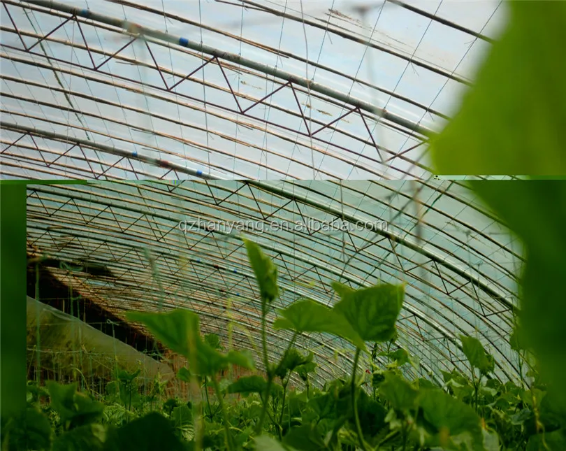 film greenhouse for vegetables planting with irrigation system