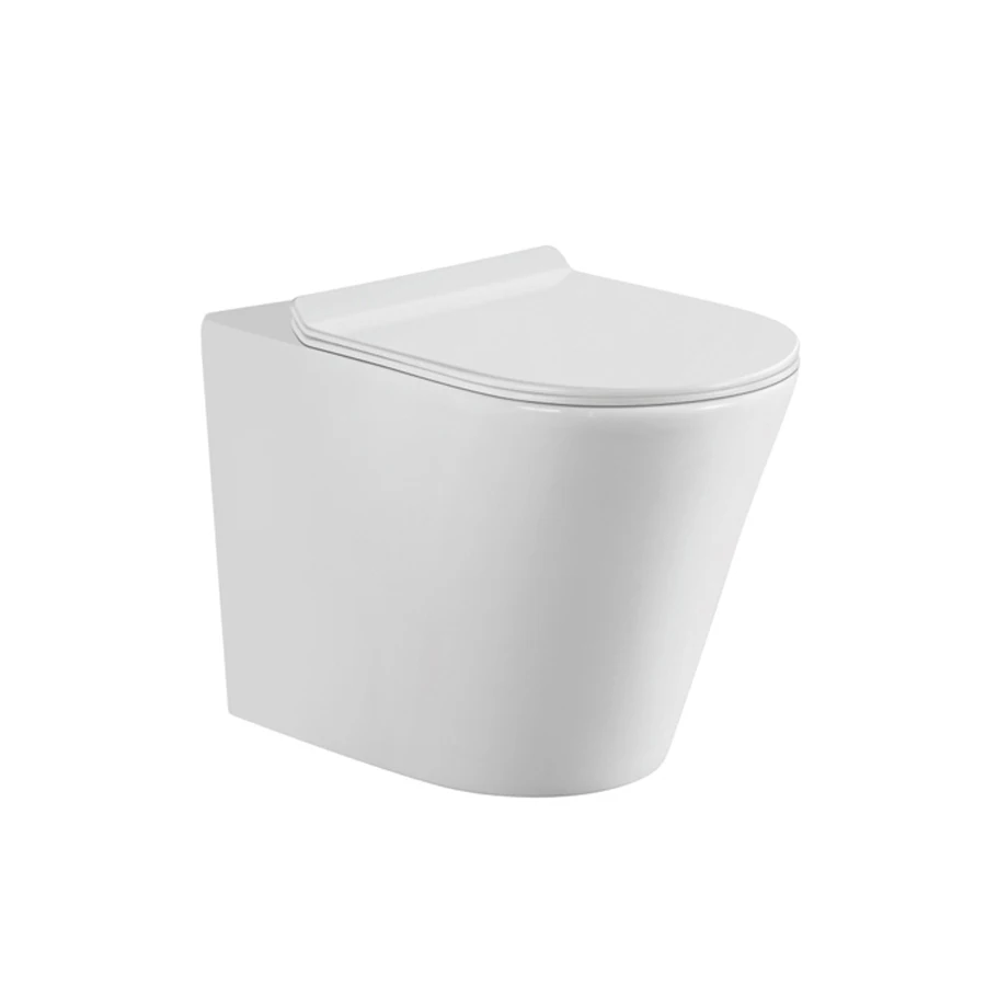 Exquisite concealed cistern for wall hung toilet