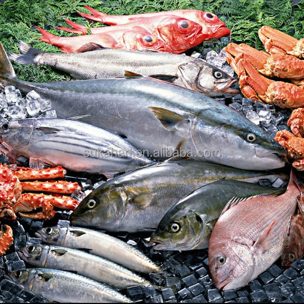 Fish Pond Treatment Probiotics/bacteria / fertilizer for ammonia nitrogen /nitrite removal