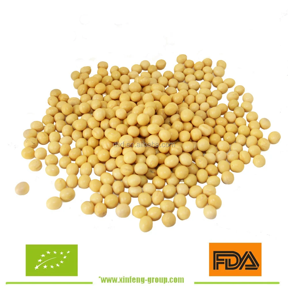 Соевая фасоль