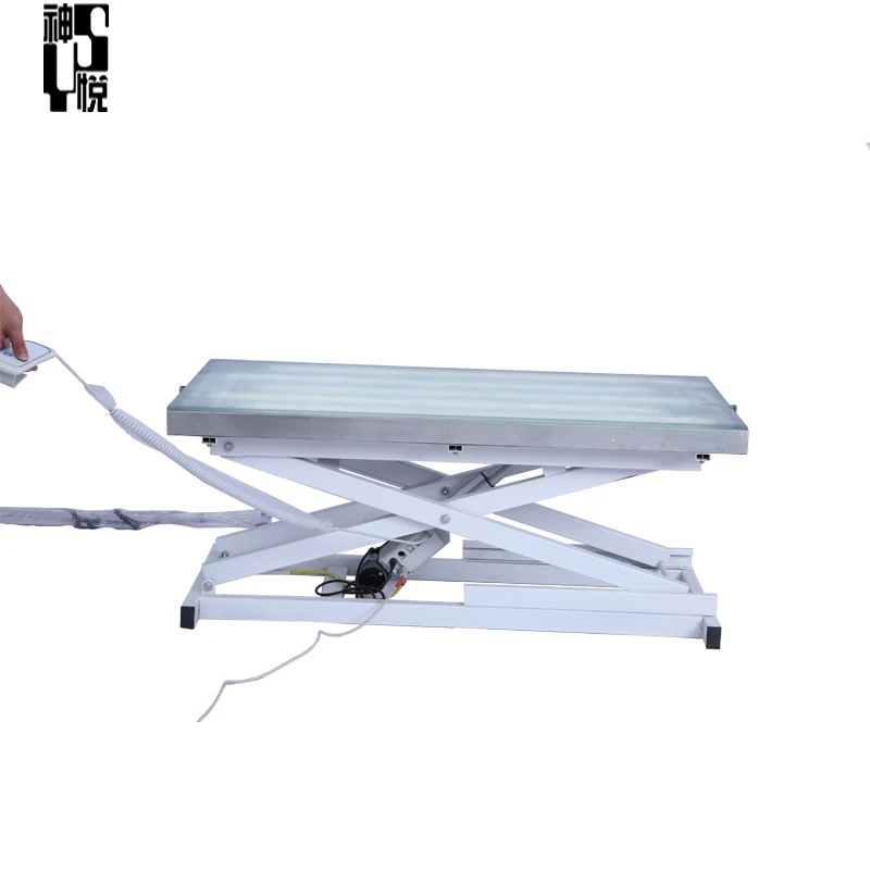 High Quality Large Lifting Height Adjustable Hydraulic Electric Dog Grooming Table with Led Light