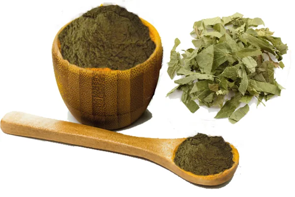 Factory Supplier Epimedium extract