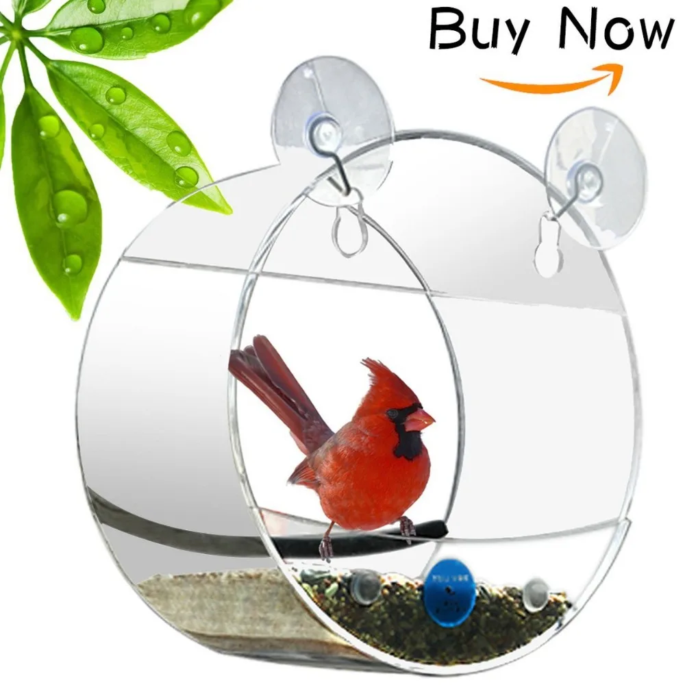 Fashion Acrylic Watch Wild Birds Up Close Round Window Bird Feeder for Bird Lovers & Fun Summer Activity for Kids As Great Gift