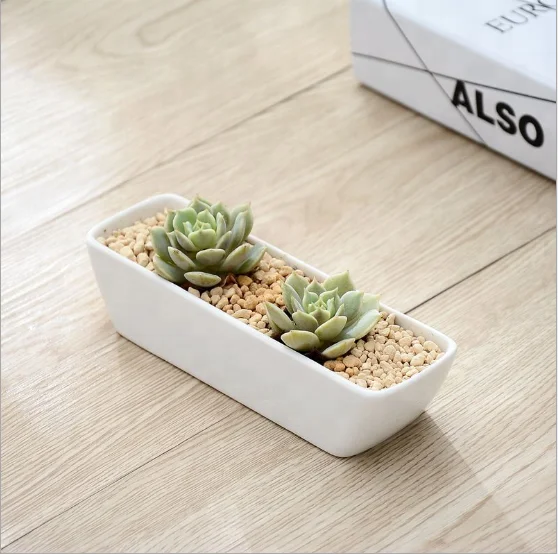 White minimalist creative gardening fake flower resin ceramic small flower pot