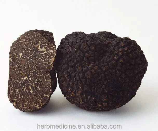 
Edible precious mushrooms natural sliced perigord truffle Tuber melanosporum 