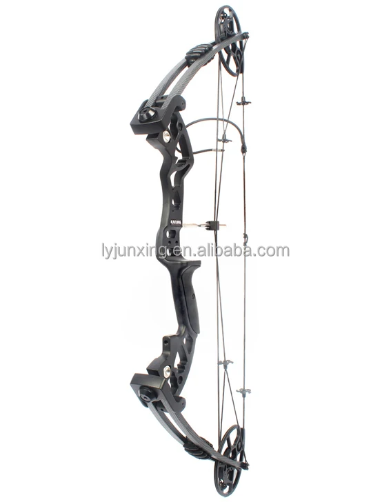 Right and left hand compound bow hunting