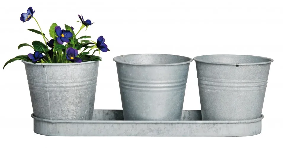 Set Of 3 Galvanized Metal Bucket Powder Coated Black Color Flower Planter Tray With Round Herb Pots