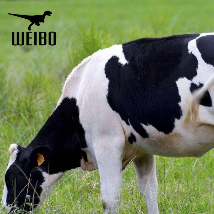 Animatronic animal fiberglass animal life size cow sculpture