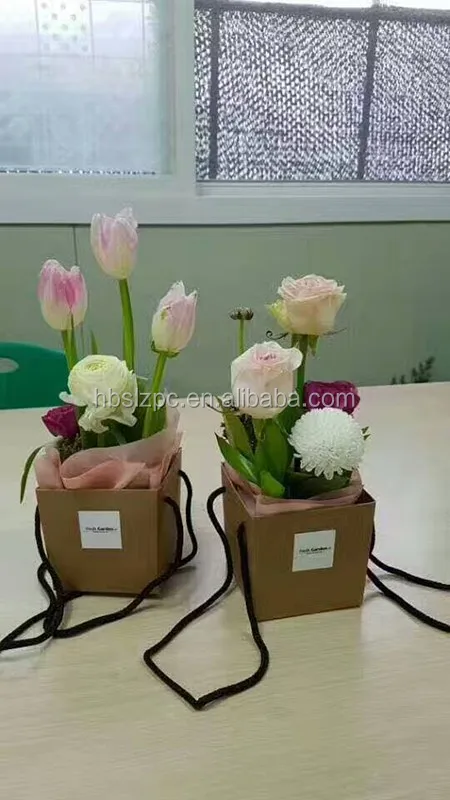 Fashionable and changeable PVC plastic transparent beautiful flowerpot