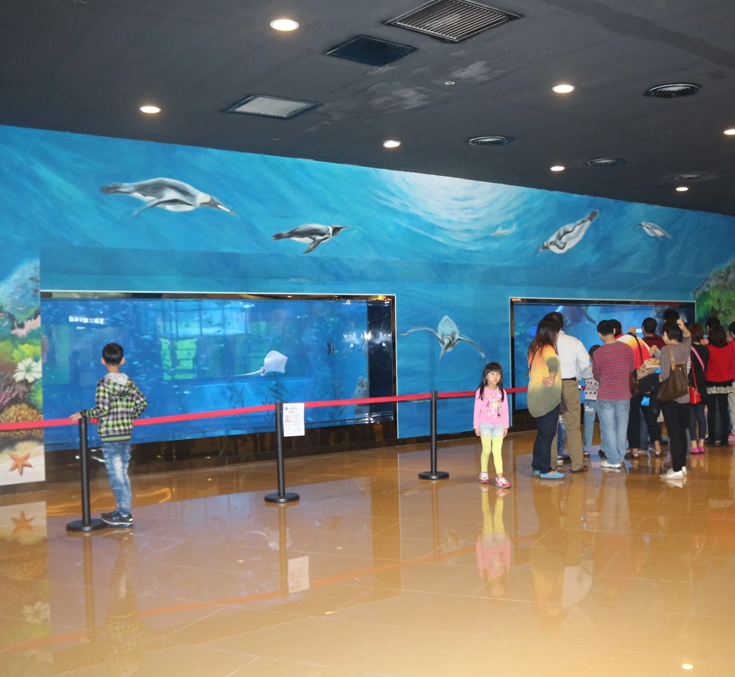 acrylic aquarium / mini fish tank / led aquarium accessories